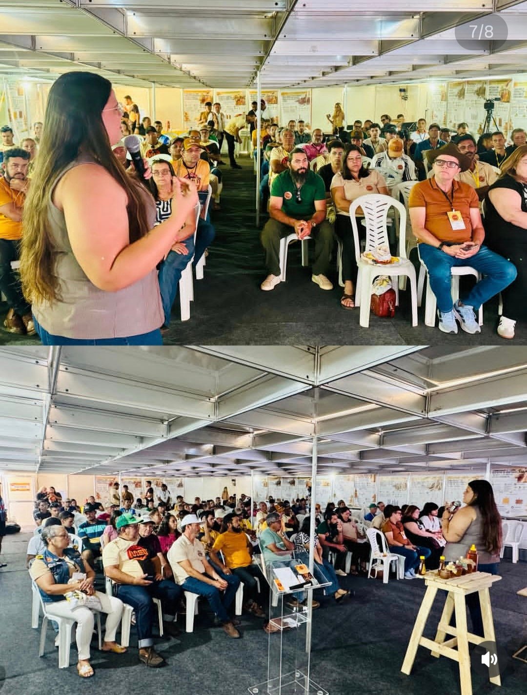Inovação e Conhecimento: 1º Congresso de Apicultura e Meliponicultura marca história no Festival do Mel 2026.